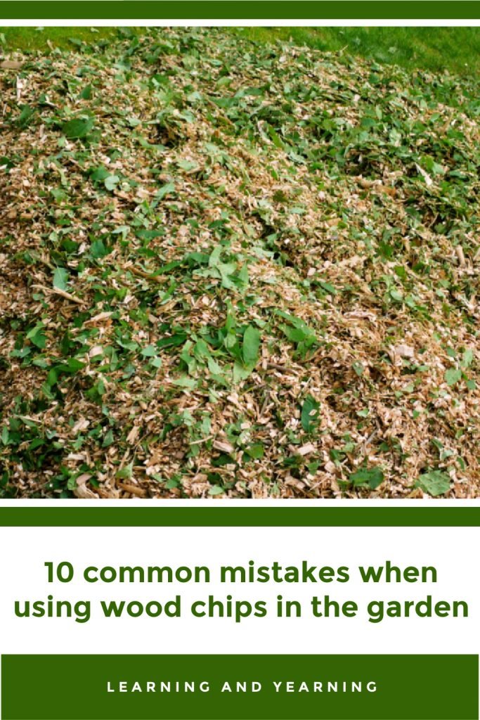 Can You Use Wood Mulch in a Vegetable Garden? Benefits, Risks, and Best Practices