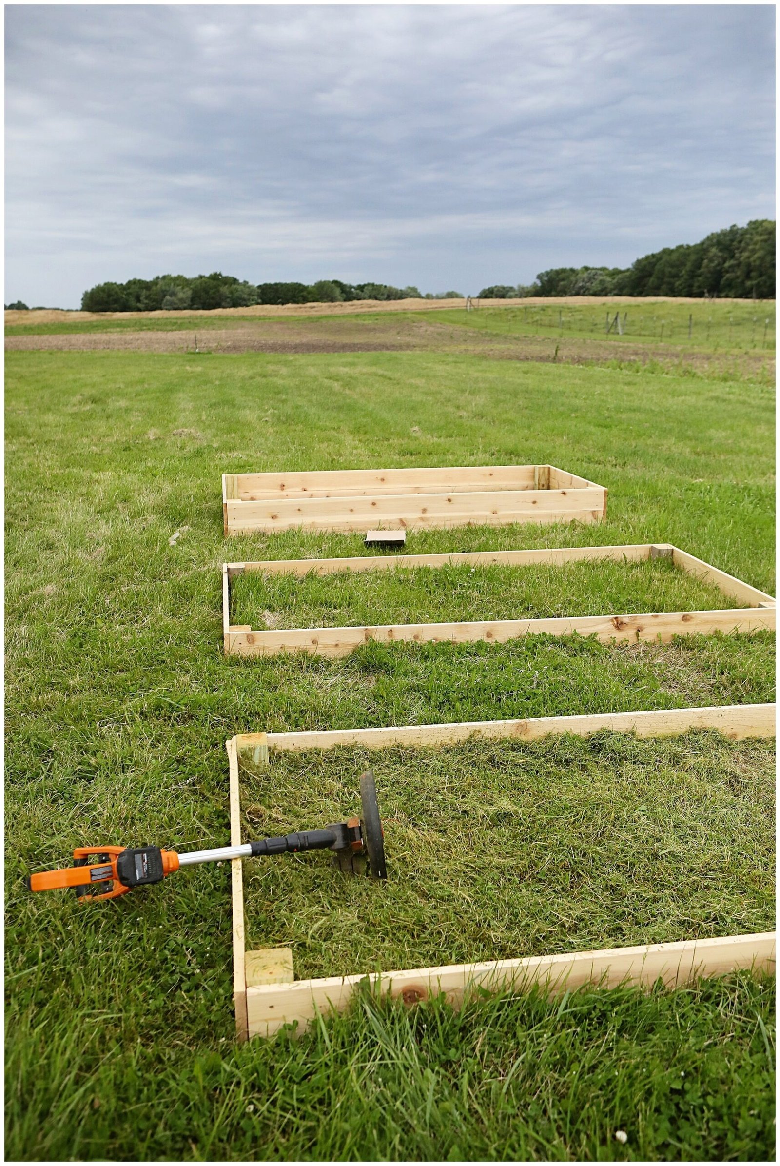 How to Kill Grass in Garden Beds: Easy, Safe Methods to Remove Weeds Fast