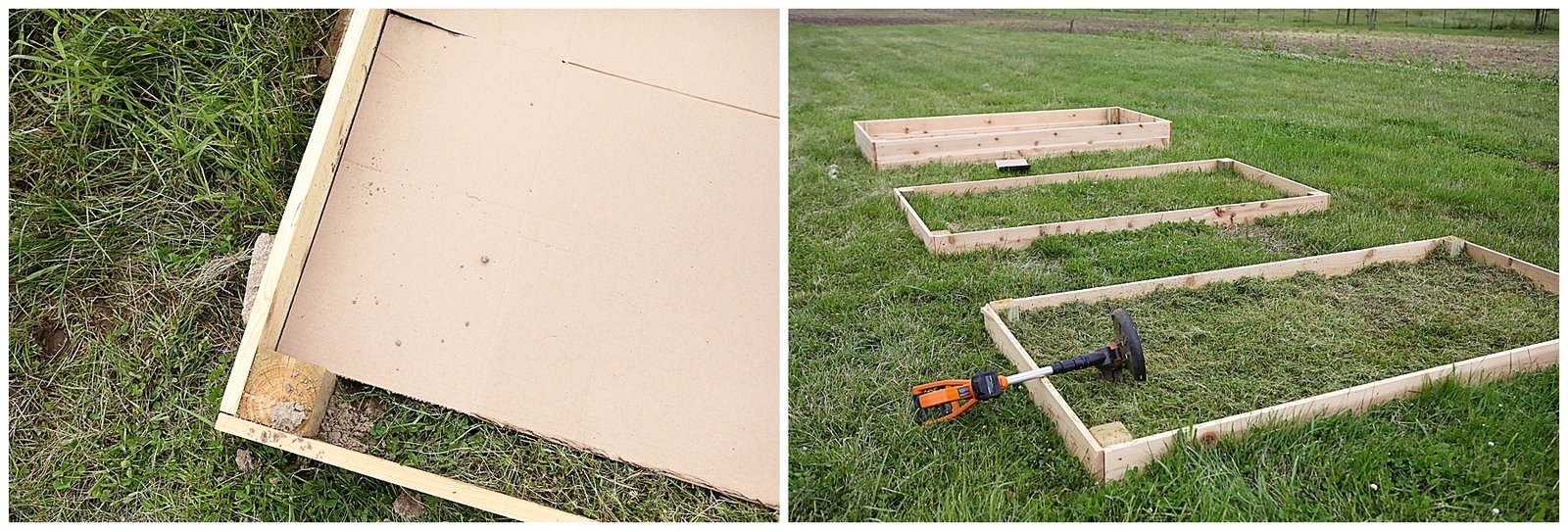 How to Kill Grass in Garden Beds: Easy, Safe Methods to Remove Weeds Fast