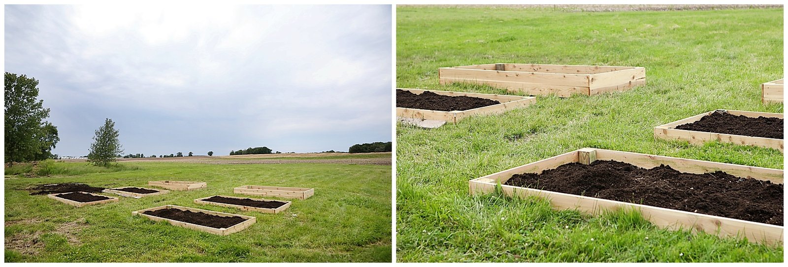 How to Keep Grass Out of Your Garden: 7 Simple, Effective Methods
