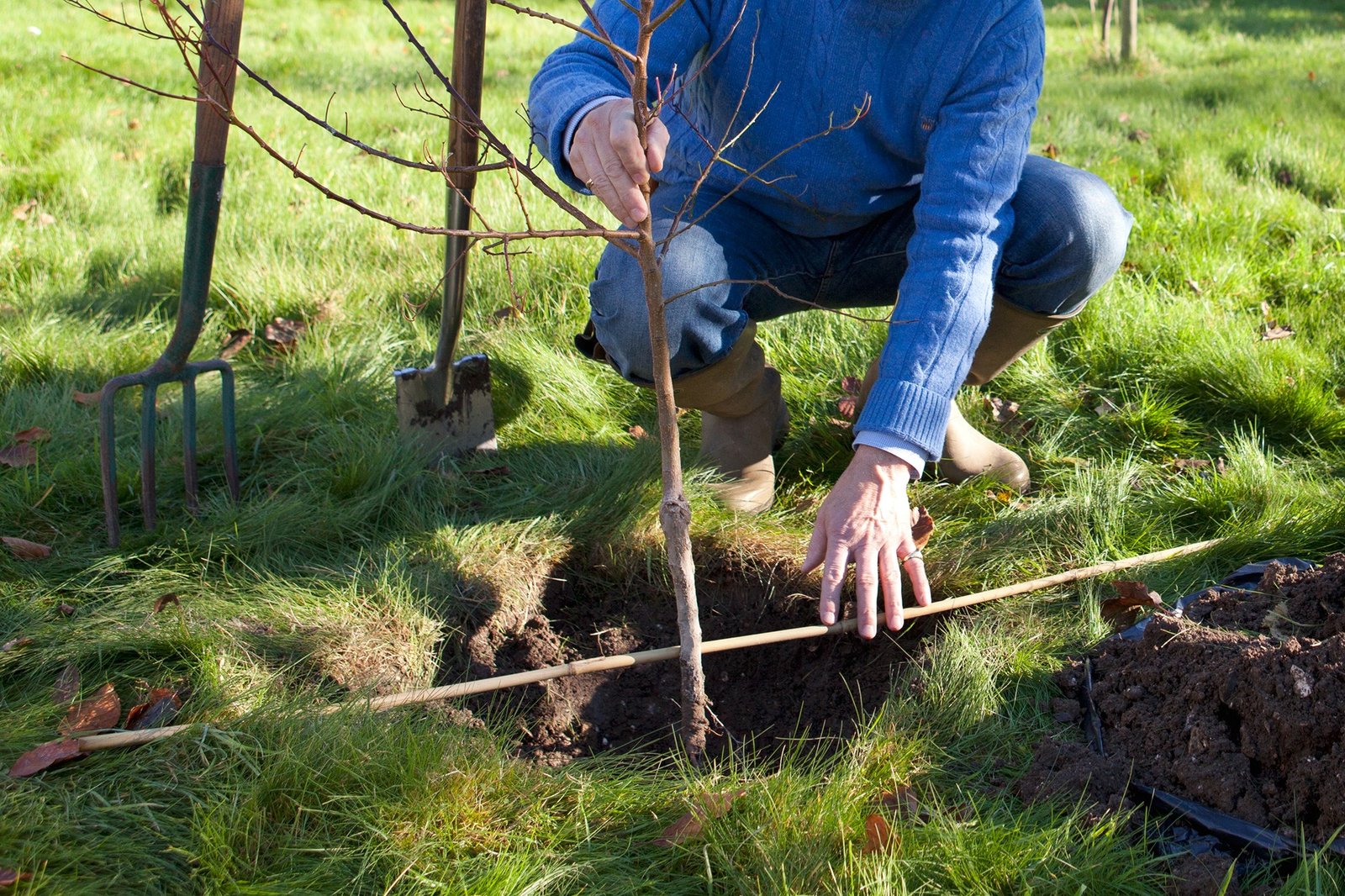 How to Plant Plants in a Garden: A Beginner’s Step-by-Step Guide