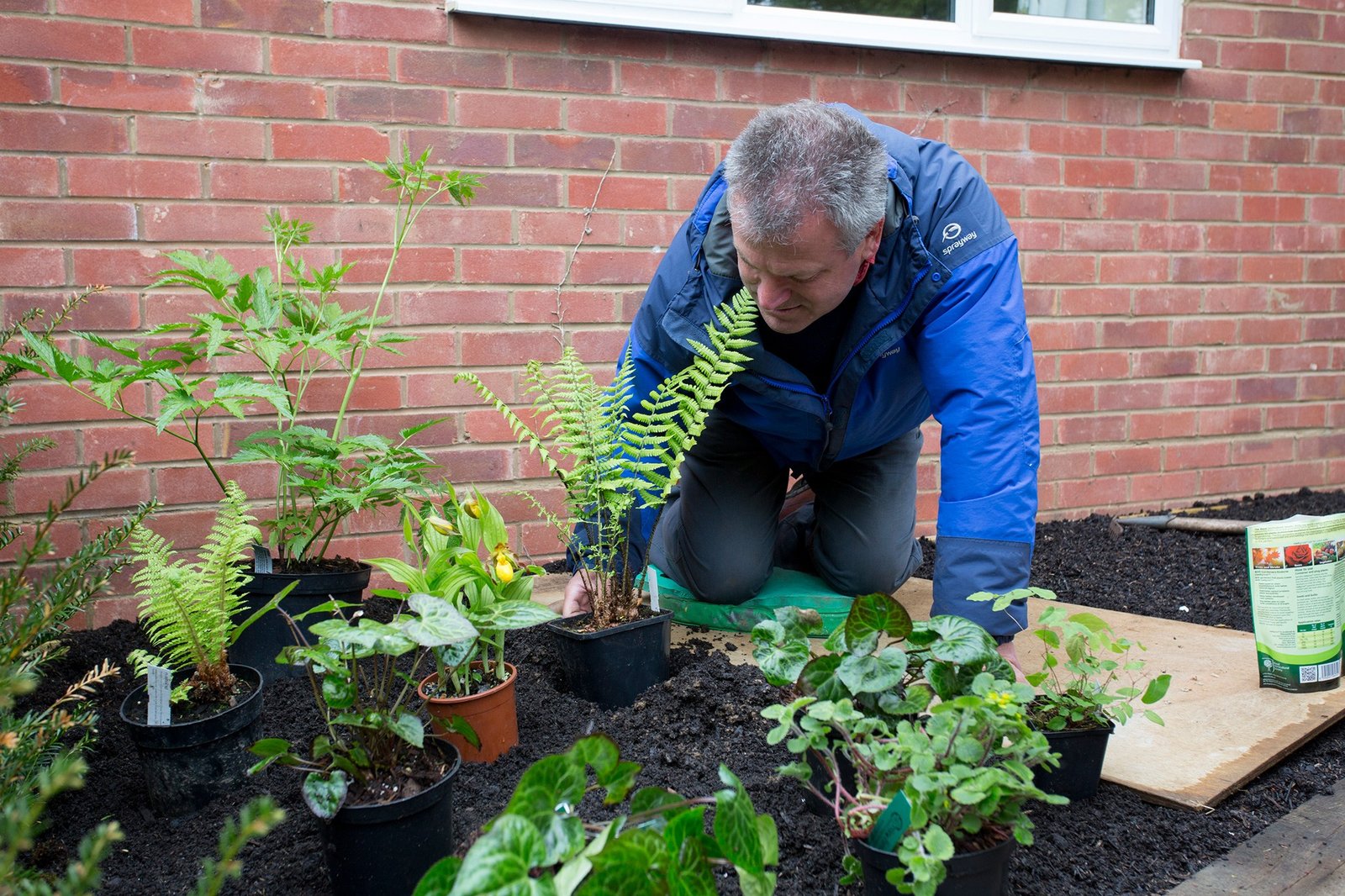 How to Plant Plants in a Garden: A Beginner’s Step-by-Step Guide
