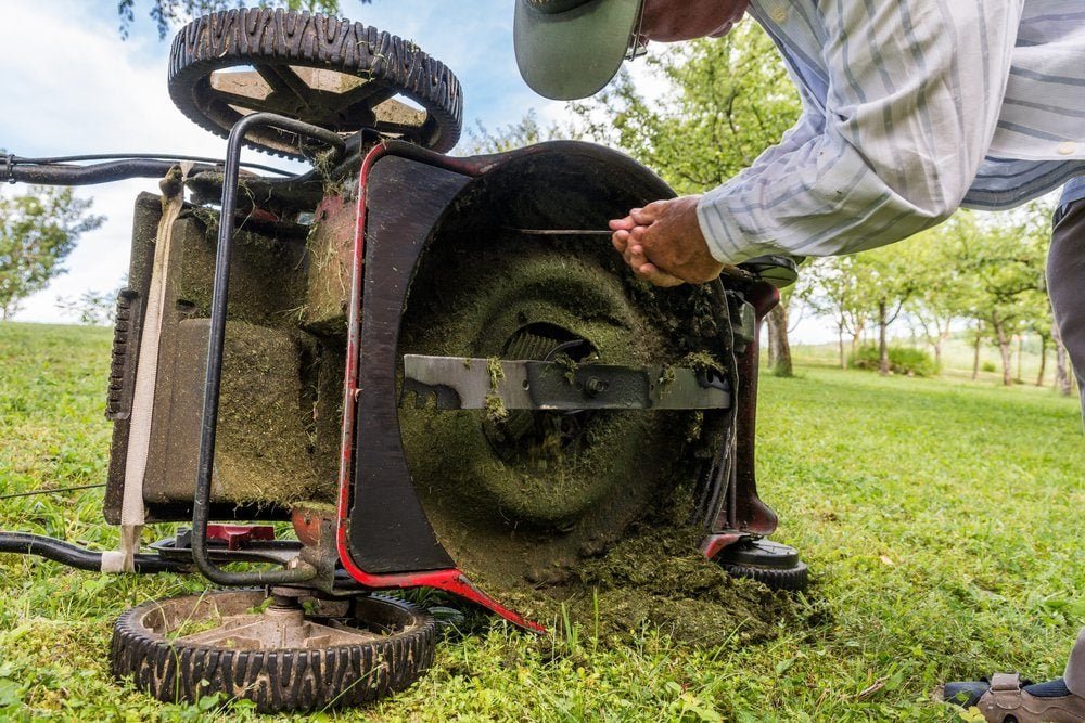 How to Sharpen Lawn Mower Blades for a Cleaner, Healthier Cut