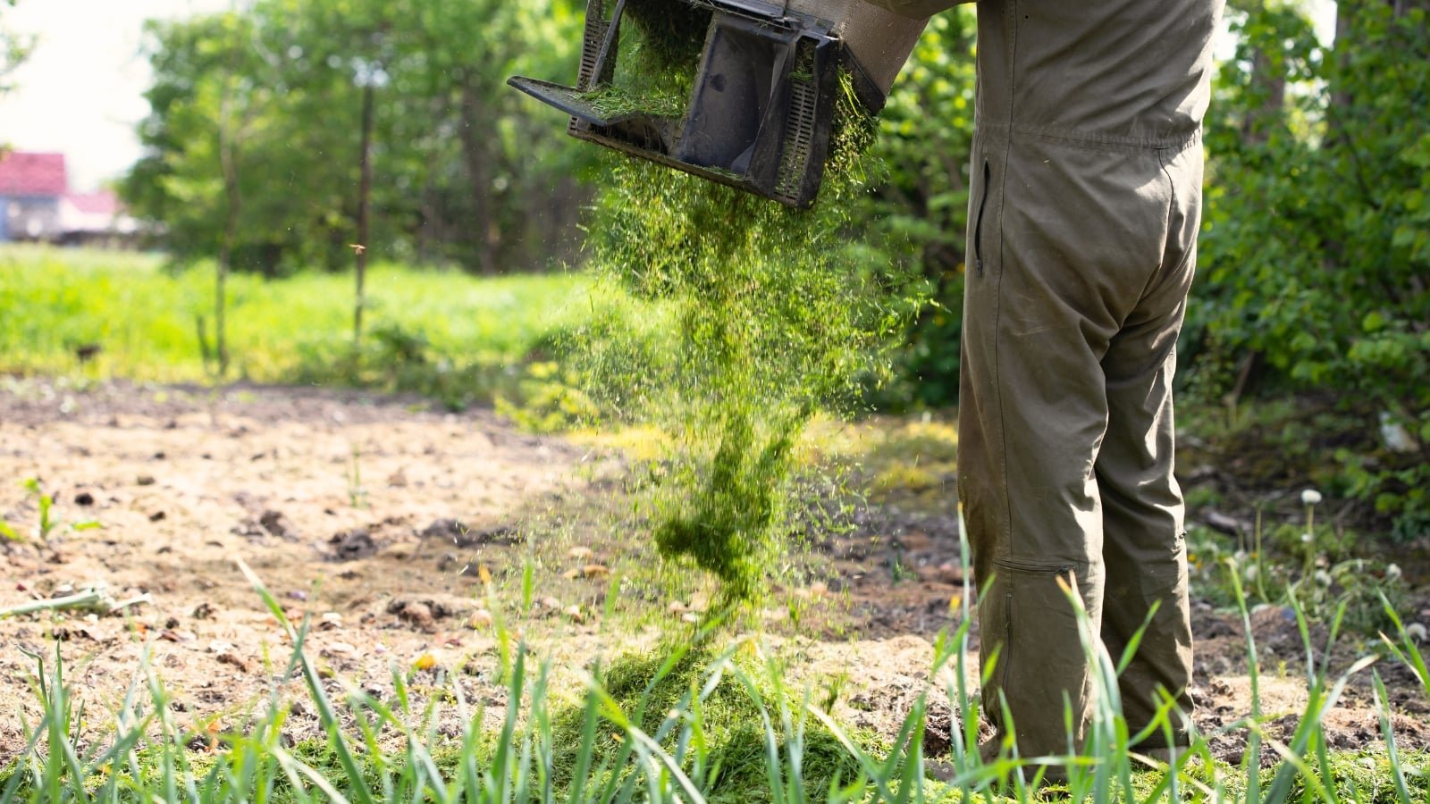 Can I Put Grass Clippings in My Garden? Benefits, Risks, and Best Practices