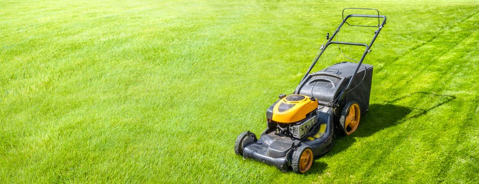 How Early Can I Mow My Lawn? Best Time to Start Mowing in the Morning