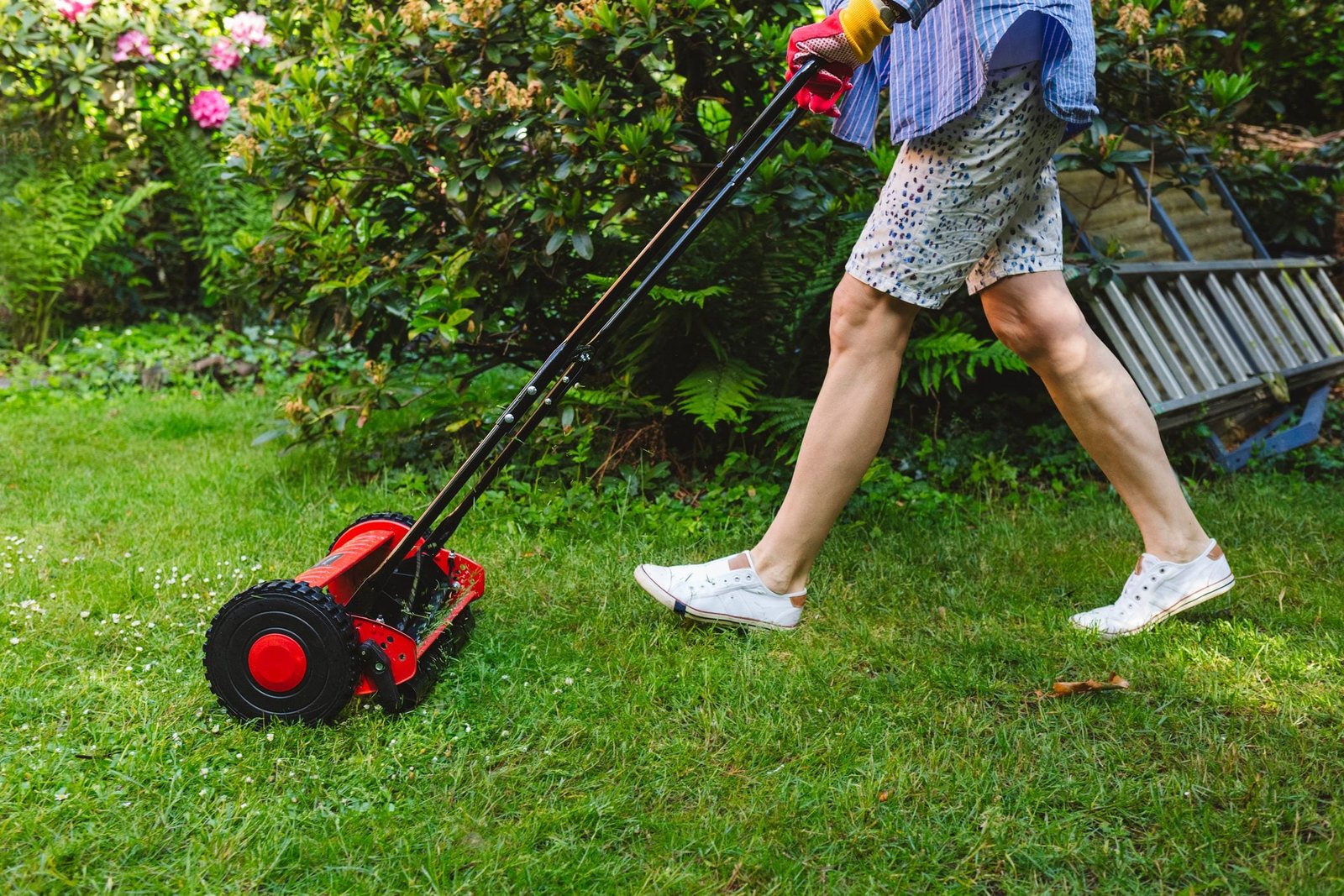 When to Mow Your Lawn in Spring for the Best Results