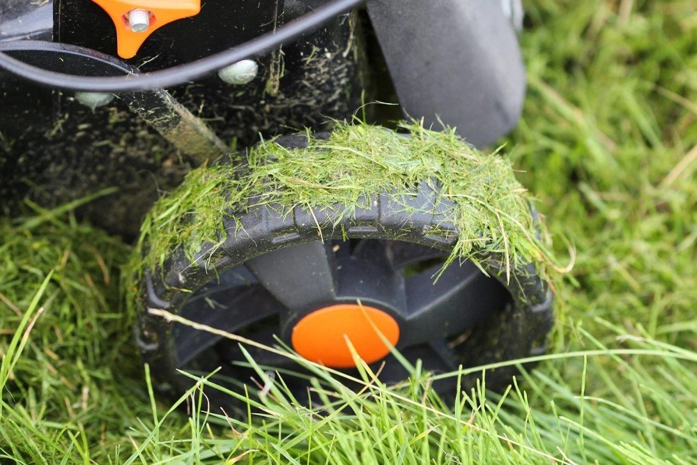 Can You Mow Wet Grass? What Happens and Why It Matters