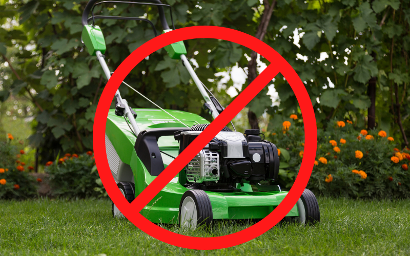 How to Cut Grass Without a Lawn Mower: Easy, Effective Alternatives