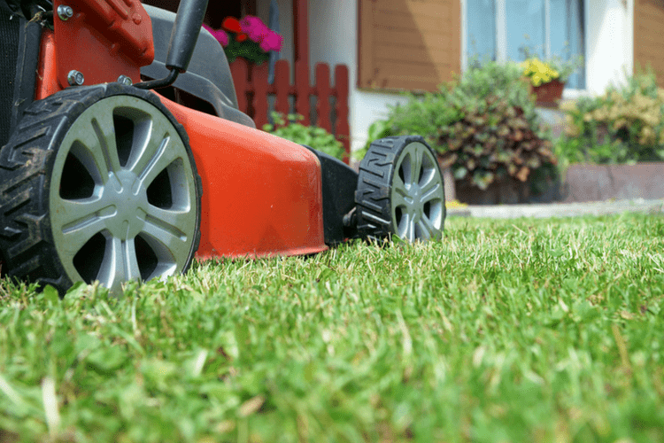 What Kind of Oil Does a Lawn Mower Take? A Complete Guide for Choosing the Right Oil