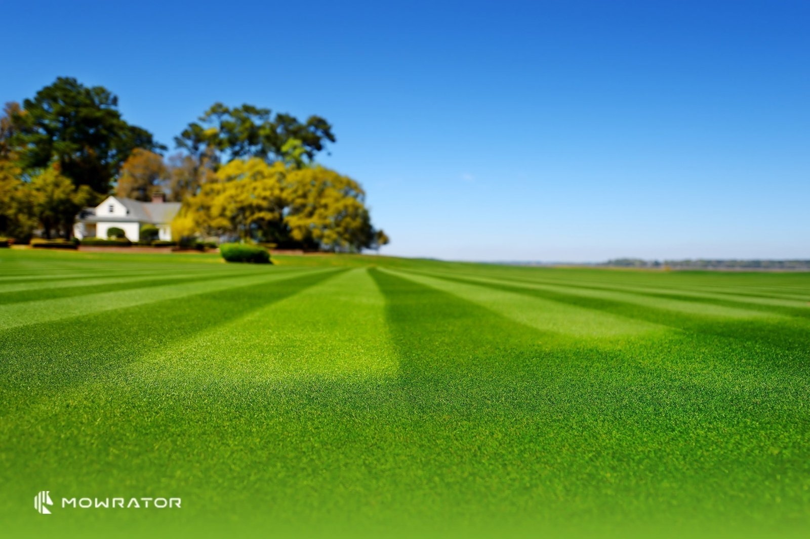 How to Mow Stripes in Your Lawn for a Professional, Eye-Catching Finish