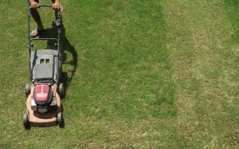 Where to Spray Starter Fluid on a Lawn Mower for Easy Starting