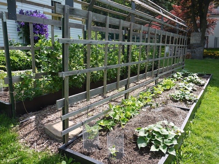 Can You Use Wood Mulch in a Vegetable Garden? Benefits, Risks, and Best Practices