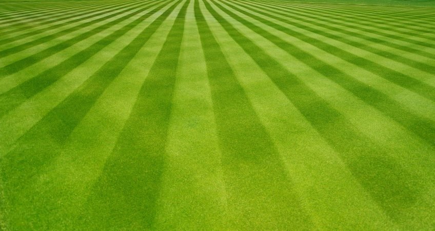 How to Mow Stripes in Your Lawn for a Professional, Eye-Catching Finish