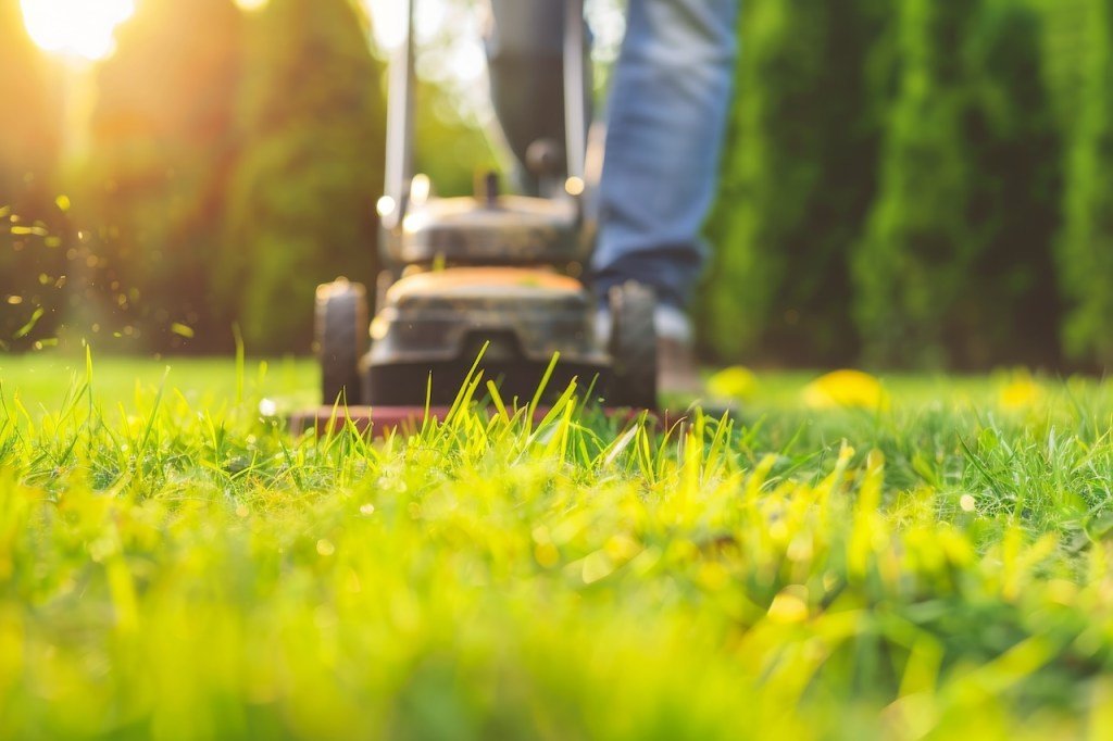 How Often Should You Mow Your Lawn? Expert Tips for a Healthy Yard