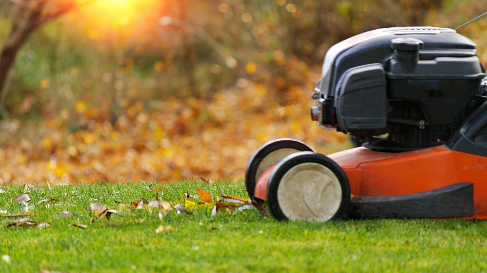 When to Stop Mowing Your Lawn for the Season