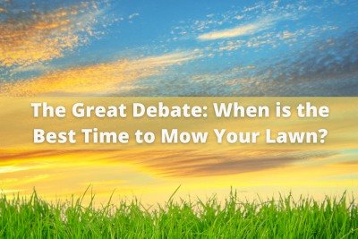 When Is the Best Time to Mow the Lawn? Expert Tips for the Perfect Cut