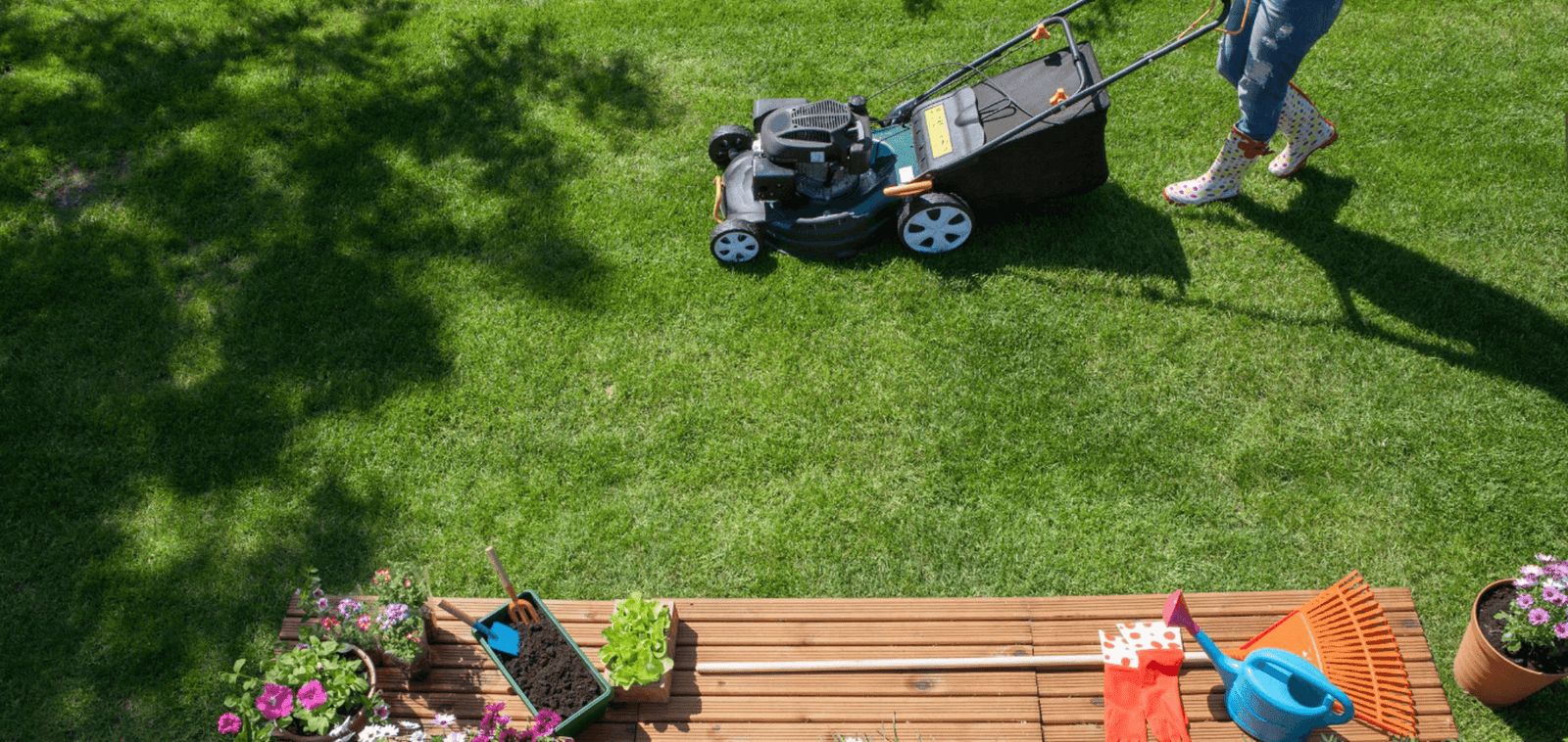 How Early Can I Mow My Lawn? Best Time to Start Mowing in the Morning