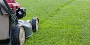 When to Mow New Sod: The Best Time to Cut Fresh Grass Safely