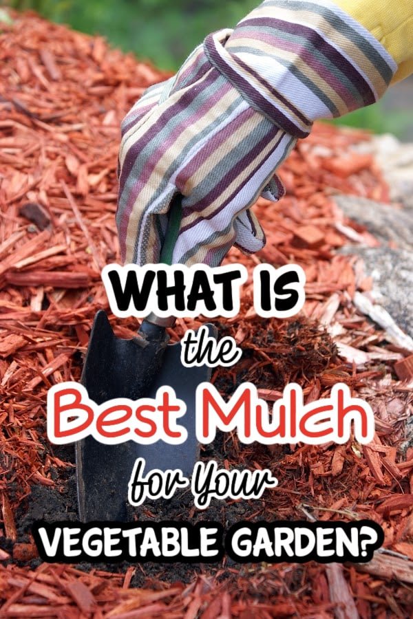 What Kind of Mulch for Vegetable Garden: Best Options for Healthy Plants and Bigger Harvests