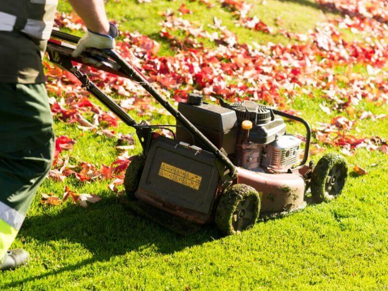 When to Mow Your Lawn in Spring for the Best Results