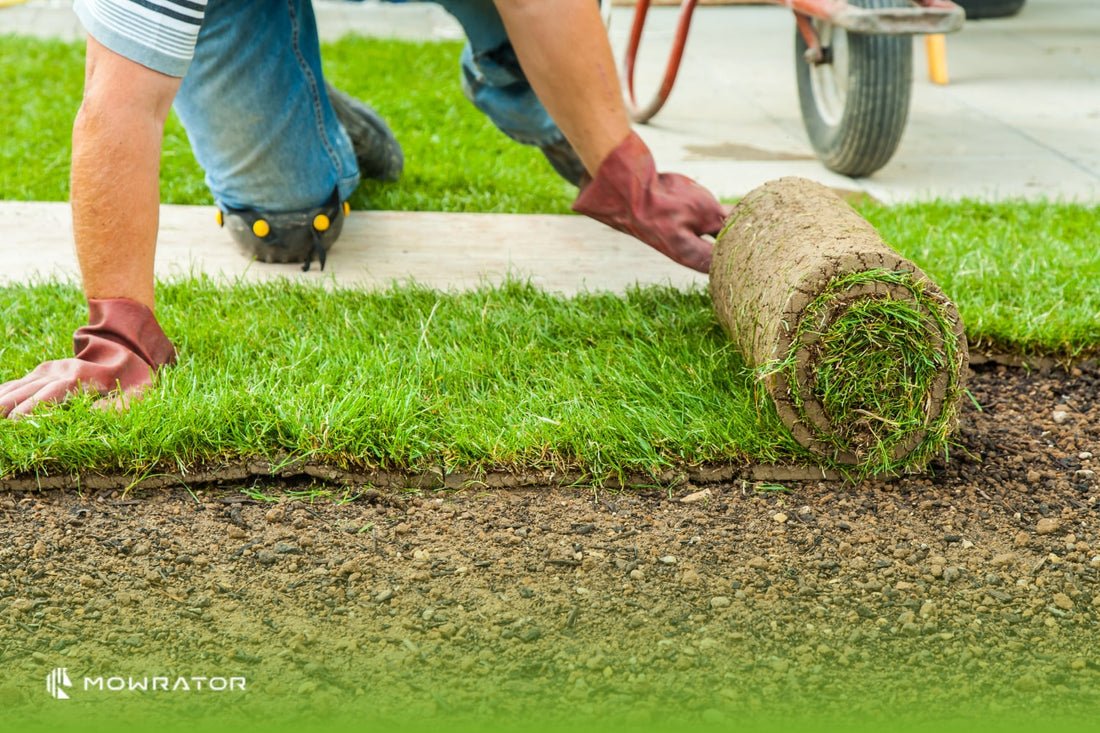 When to Mow New Sod: The Best Time to Cut Fresh Grass Safely