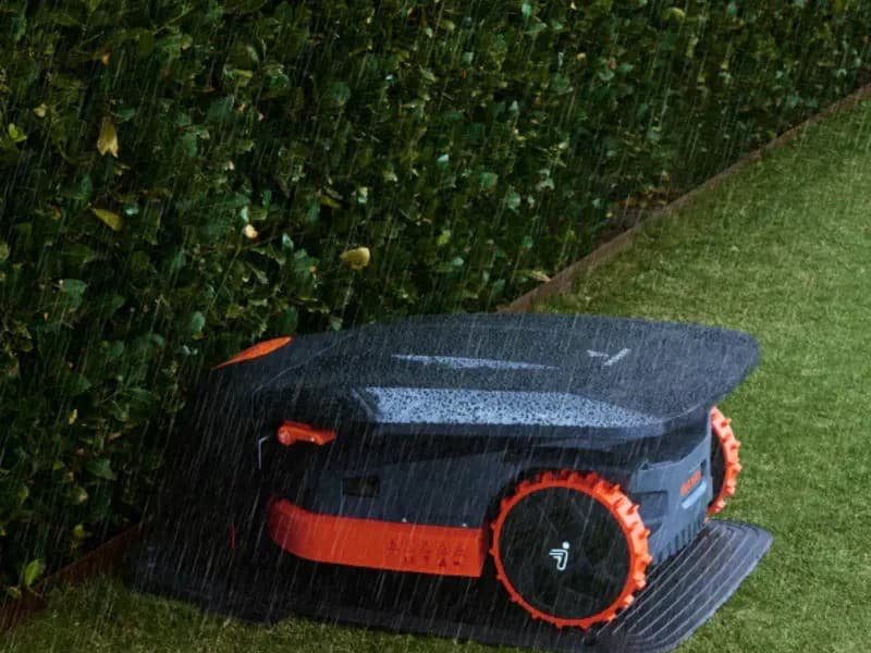 Can a Lawn Mower Get Wet? What Happens and How to Protect It