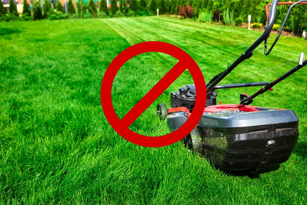 When to Stop Mowing Your Lawn for the Season