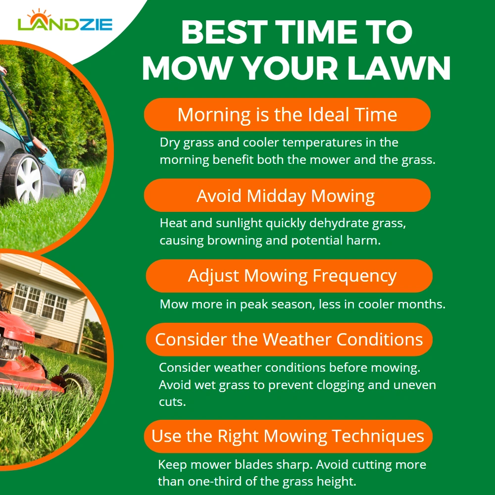 When Is the Best Time to Mow the Lawn? Expert Tips for the Perfect Cut