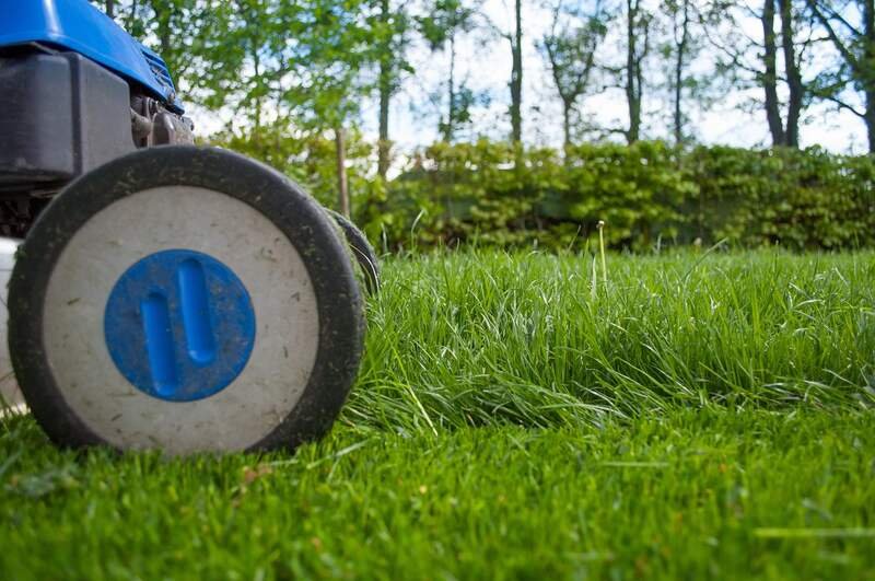 How Early Can I Mow My Lawn? Best Time to Start Mowing in the Morning