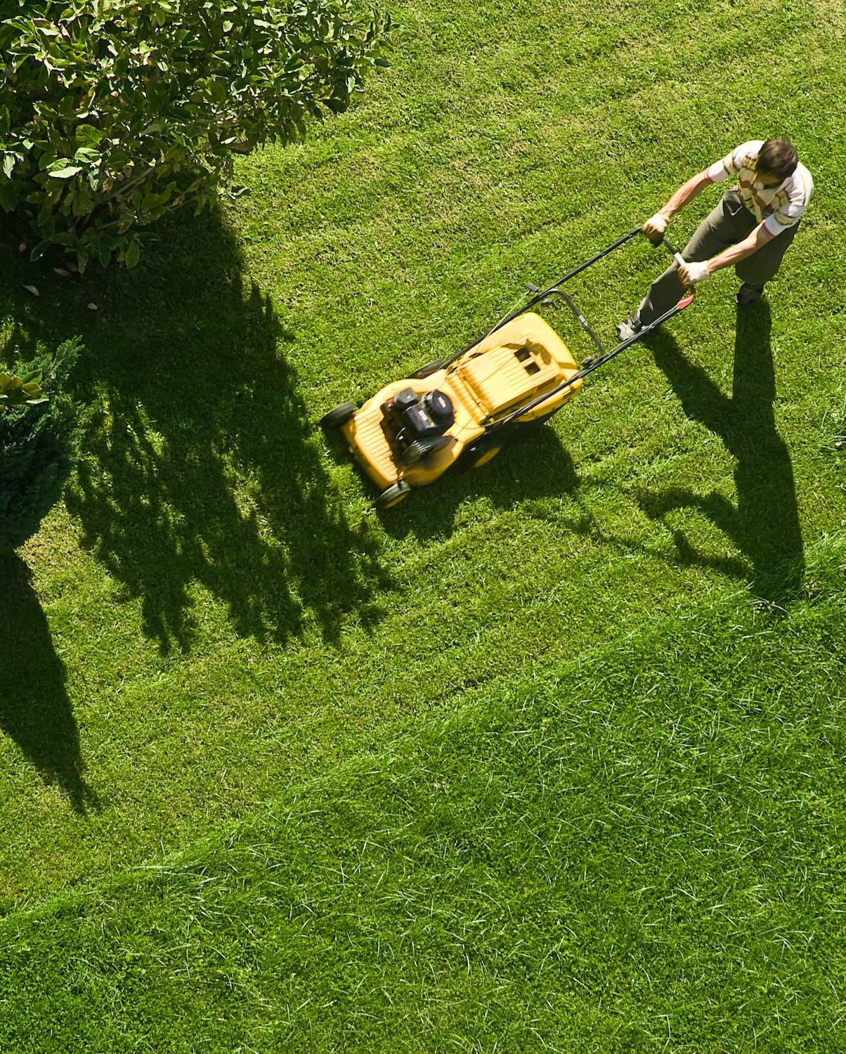 How to Mow a Lawn: Simple Steps for a Healthy, Beautiful Yard