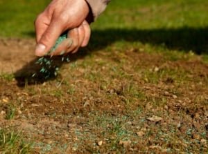 Can I Use Garden Soil for Lawn? What You Need to Know