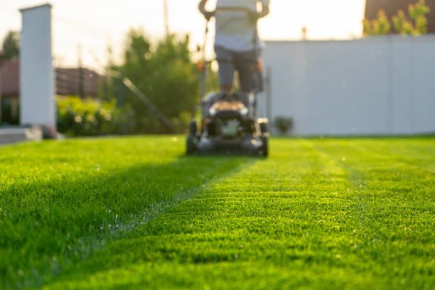 How to Mow a Lawn: Simple Steps for a Healthy, Beautiful Yard