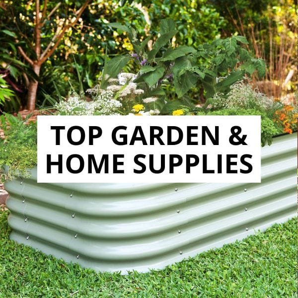 Can You Put a Raised Garden Bed on Grass? What to Know Before You Start