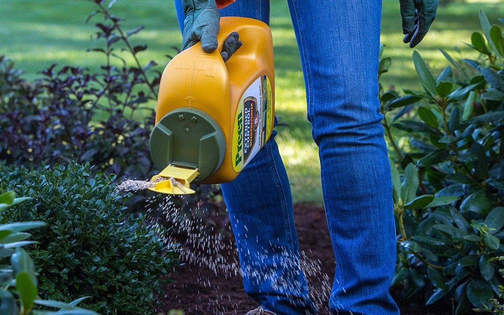 How to Get Rid of Crabgrass in Garden: Easy, Effective Control Tips