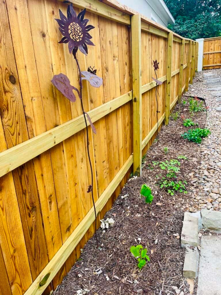 How to Keep Weeds Out of a Wildflower Garden: Simple, Effective Tips