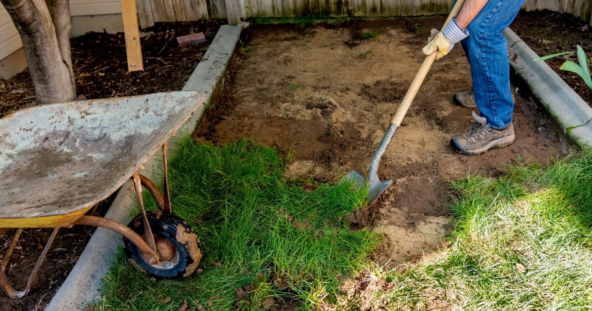 How to Remove Grass in Garden: Easy Methods to Clear and Prepare Your Beds