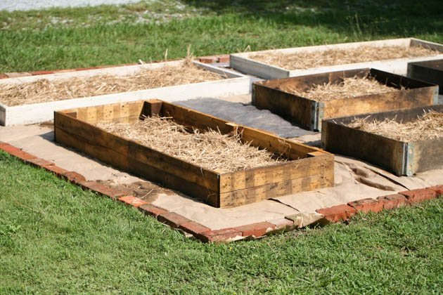 How to Start a Garden Where Grass Is Currently Growing