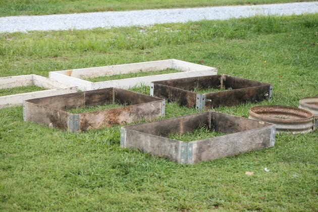 How to Start a Garden Where Grass Is Currently Growing