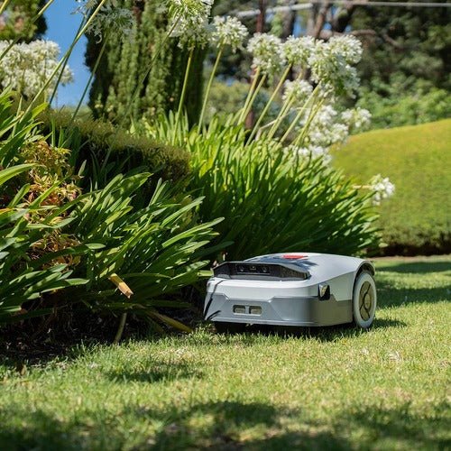 When Is the Best Time to Mow the Lawn? Expert Tips for the Perfect Cut