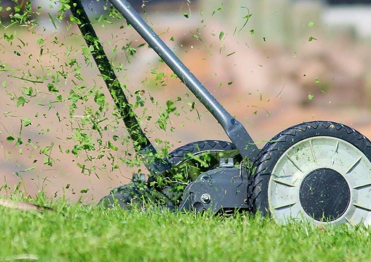 When Is the Best Time to Mow the Lawn? Expert Tips for the Perfect Cut