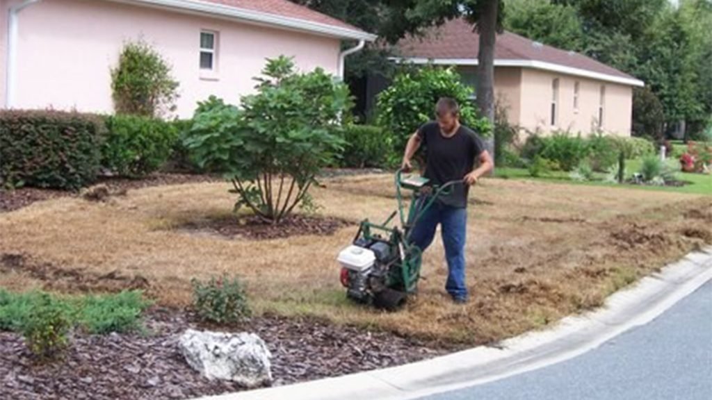 How to Remove Sod for a Garden: A Step-by-Step Guide