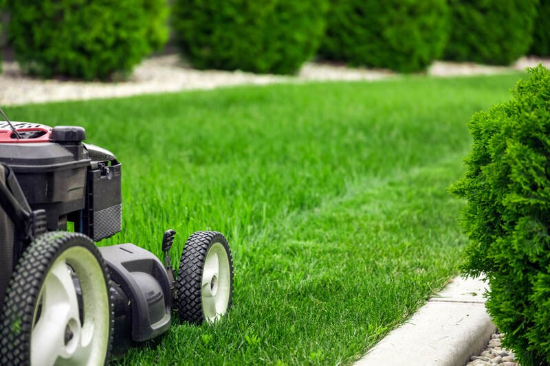 How Often Should You Mow Your Lawn? Expert Tips for a Healthy Yard