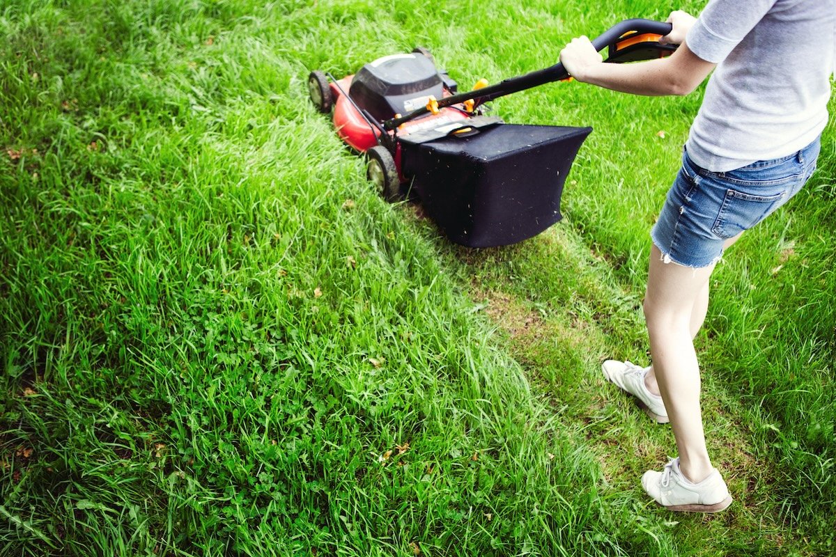 Can a Lawn Mower Get Wet? What Happens and How to Protect It