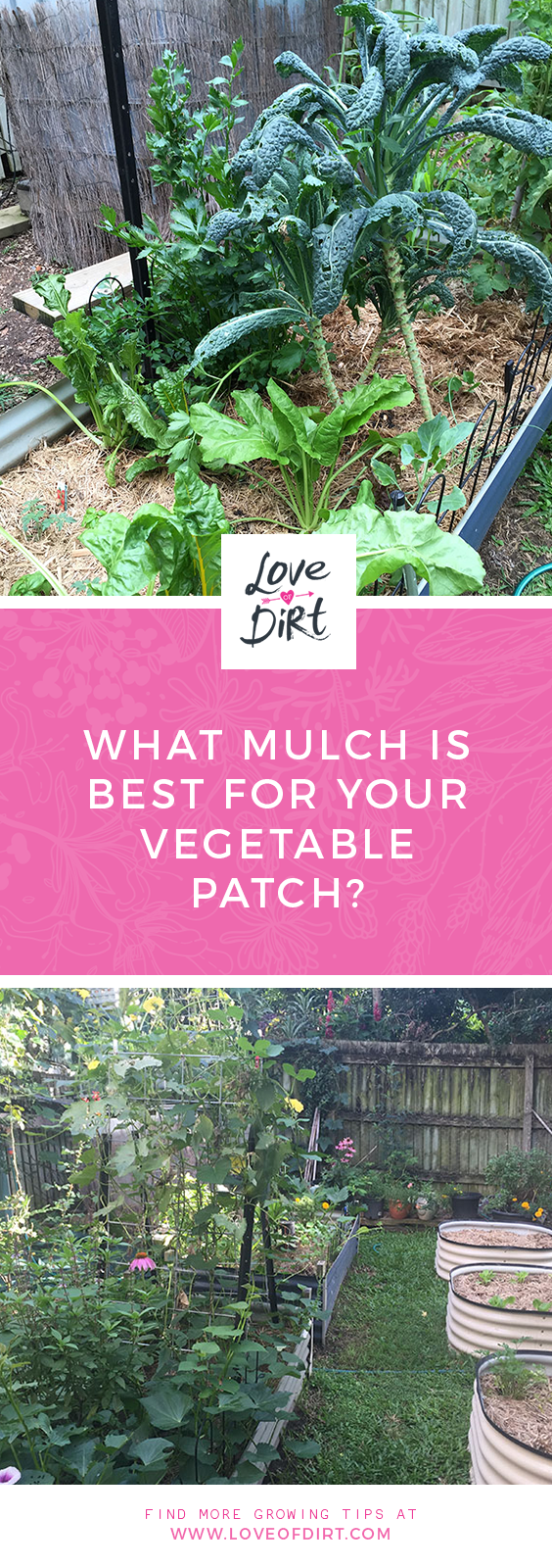 What Kind of Mulch for Vegetable Garden: Best Options for Healthy Plants and Bigger Harvests