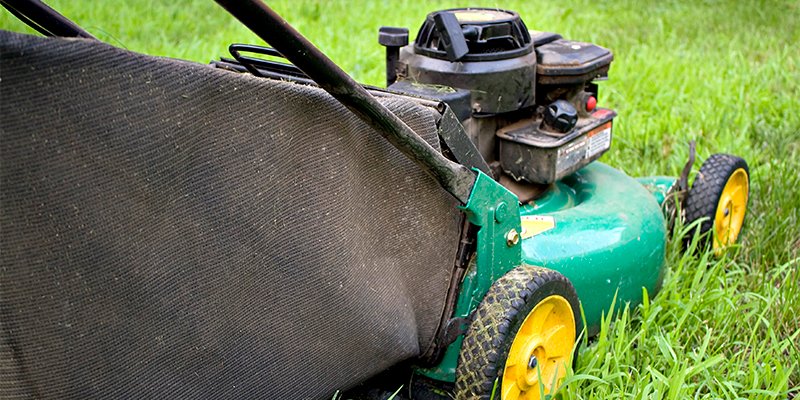 Can I Use Garden Soil for Lawn? What You Need to Know