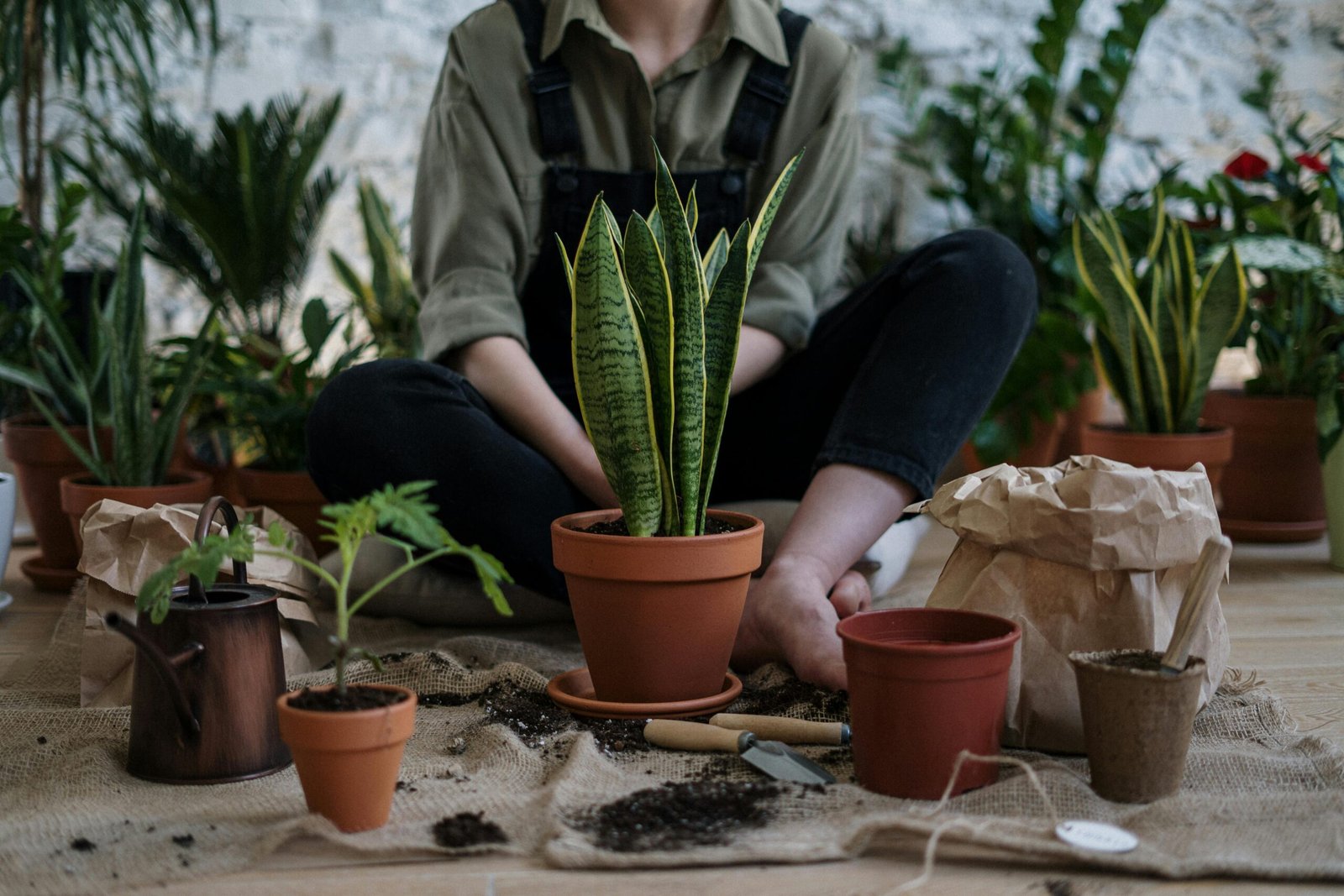 How to Grow Garden Plants Successfully: Tips for Healthy, Thriving Growth