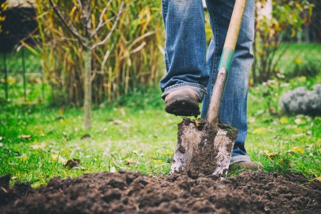 How to Remove Grass in Garden: Easy Methods to Clear and Prepare Your Beds