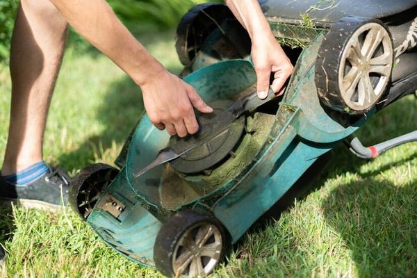 How to Sharpen Lawn Mower Blades for a Cleaner, Healthier Cut