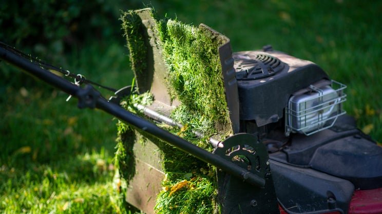 Can a Lawn Mower Get Wet? What Happens and How to Protect It