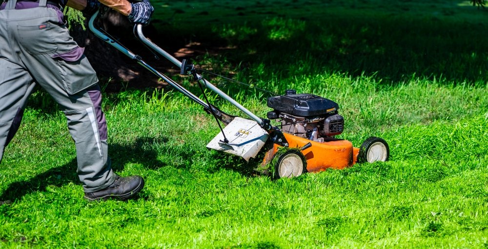 When to Mow After Overseeding for a Healthier, Thicker Lawn